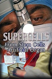 Supercells: From Stem Cells To Artificial Organ