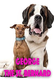 George The St. Bernard