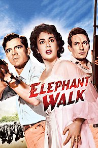 Elephant Walk