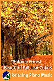 Autumn Forest - Beautiful Fall Leaf Colors - Relaxing Piano Music