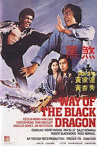 Way Of The Black Dragon