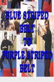 Blue Striped Belt to Purple Striped Belt