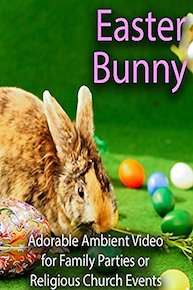 Easter Bunny Adorable Ambient Video for Family Parties or Religious Church Events