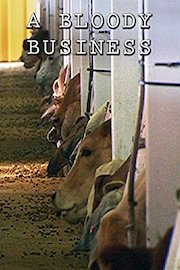 A Bloody Business