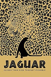 Jaguar: Closer Than Ever Thought Possible
