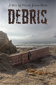 Debris