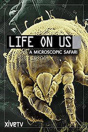 Life on Us: A Microscopic Safari