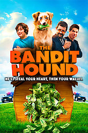 The Bandit Hound