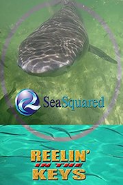 S2E9 Sea Squared Charters