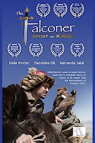 The Falconer Sport of Kings