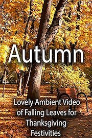 Autumn Lovely Ambient Video of Falling Leaves for Thanksgiving Festivities