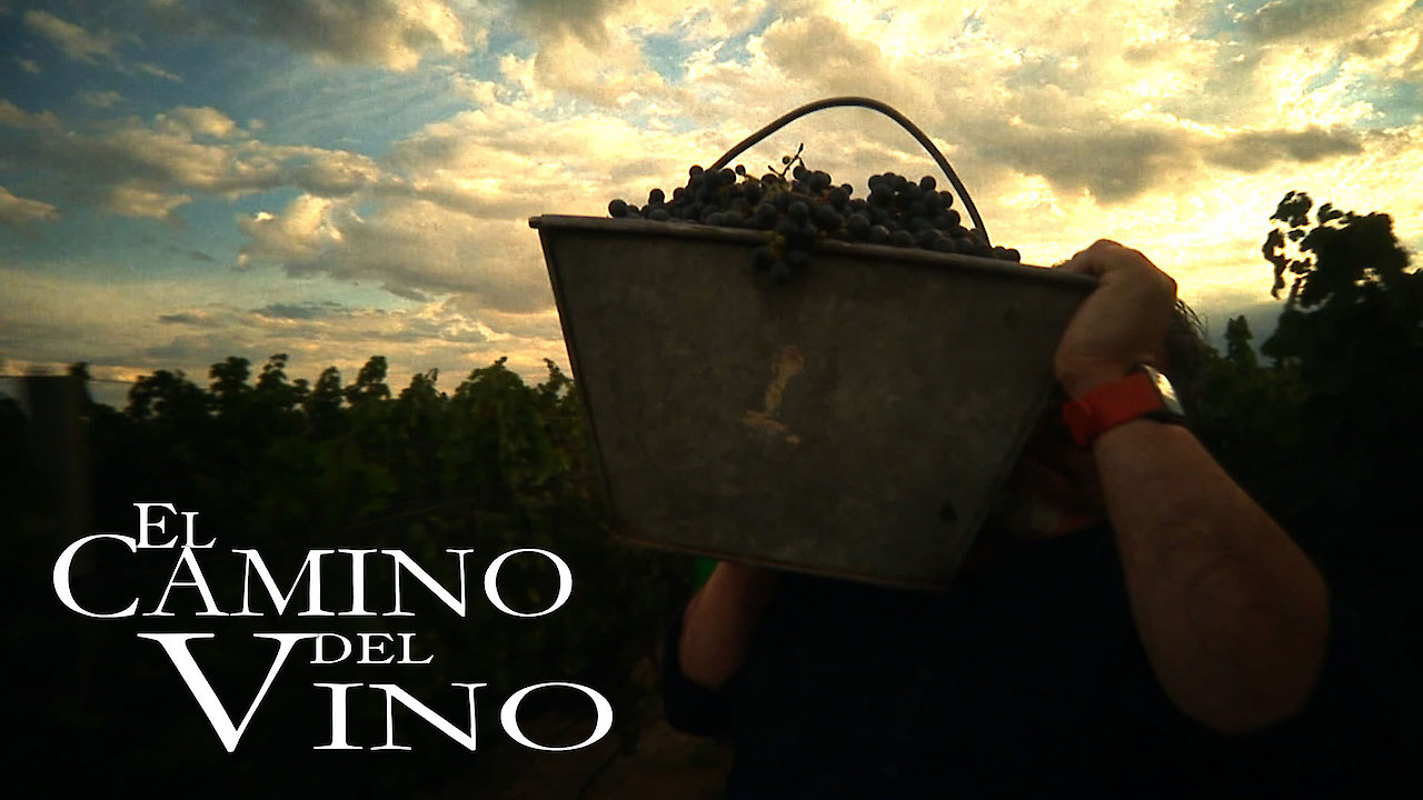 El Camino del Vino