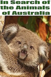 In Search of the Animals of Australia