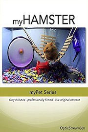 myHamster