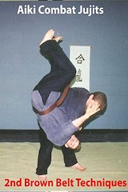 Aiki Combat 2nd Brown Belt