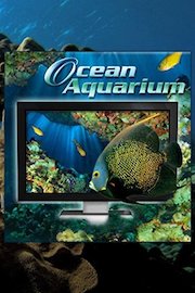 Ocean Aquarium