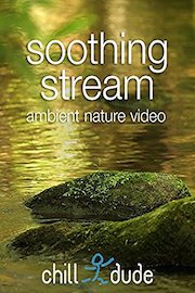 Soothing Stream Ambient Nature Video