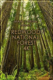 Redwood 4K