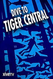 Dive to Tiger Central