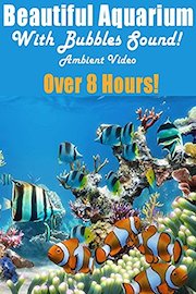 Beautiful Aquarium With Bubbles Sound - Ambient Video