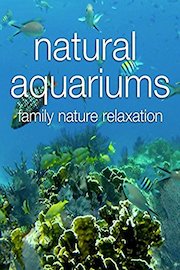 Natural Aquariums Family Nature Relaxation