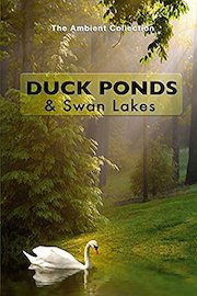 Duck Ponds