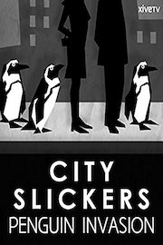 City Slickers: Penguin Invasion