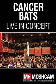 Cancer Bats