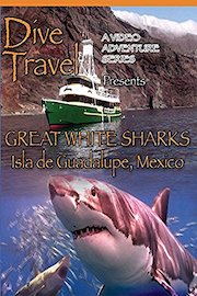 Dive Travel Great White Sharks Isla de Guadalupe, Mexico