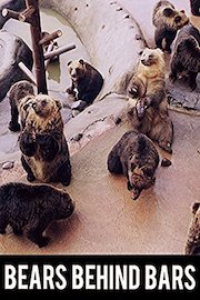 Bears Behind Bars