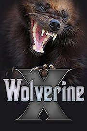 Wolverine X