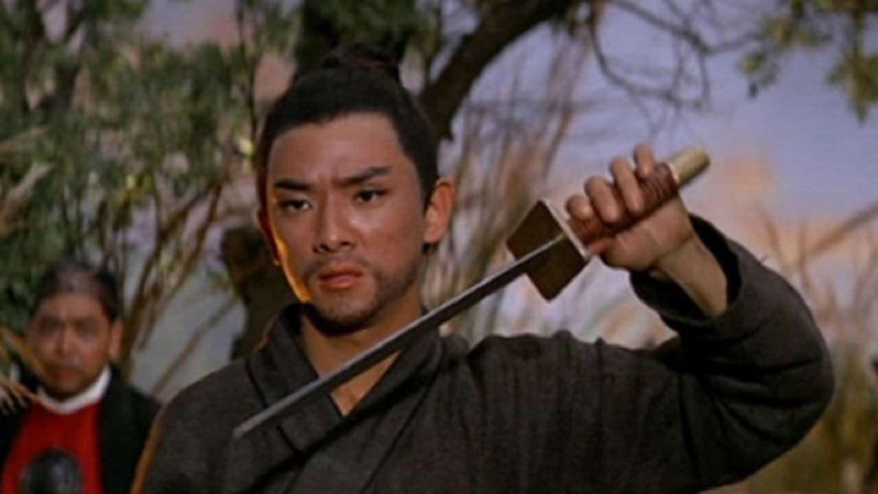 One Armed Swordsman vs. Nine Killers