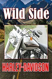 Ride On The Wild Side: Harley Davidson