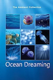 Ocean Dreaming