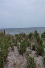 Rockaway Gentrification