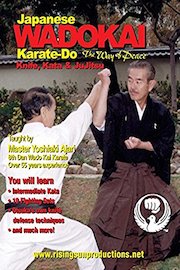 Wado Kai Knife Kata / Ju Jitsu
