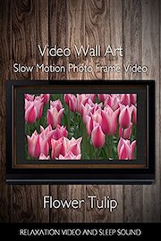 Video Wall Art Slow Motion Flower Tulip Photo Frame Video Relaxation Video and Sleep Sound