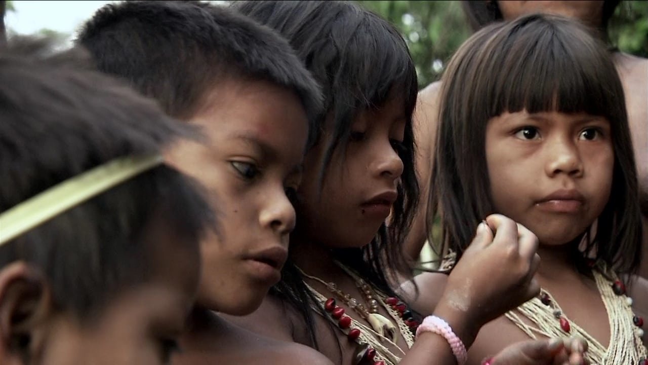 Guarani, People Of The Selva
