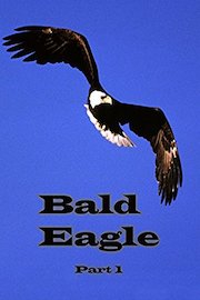 Bald Eagle: Part 1
