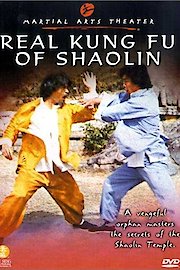 Real Kung Fu of Shaolin