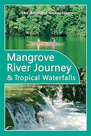Relaxing Video - Mangrove Journey-Tropical Waterfalls with Nature Sounds