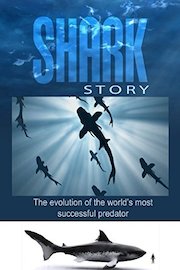 Shark Story - The Evolution of the world's most successful predator