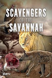 Scavengers of the Savannah