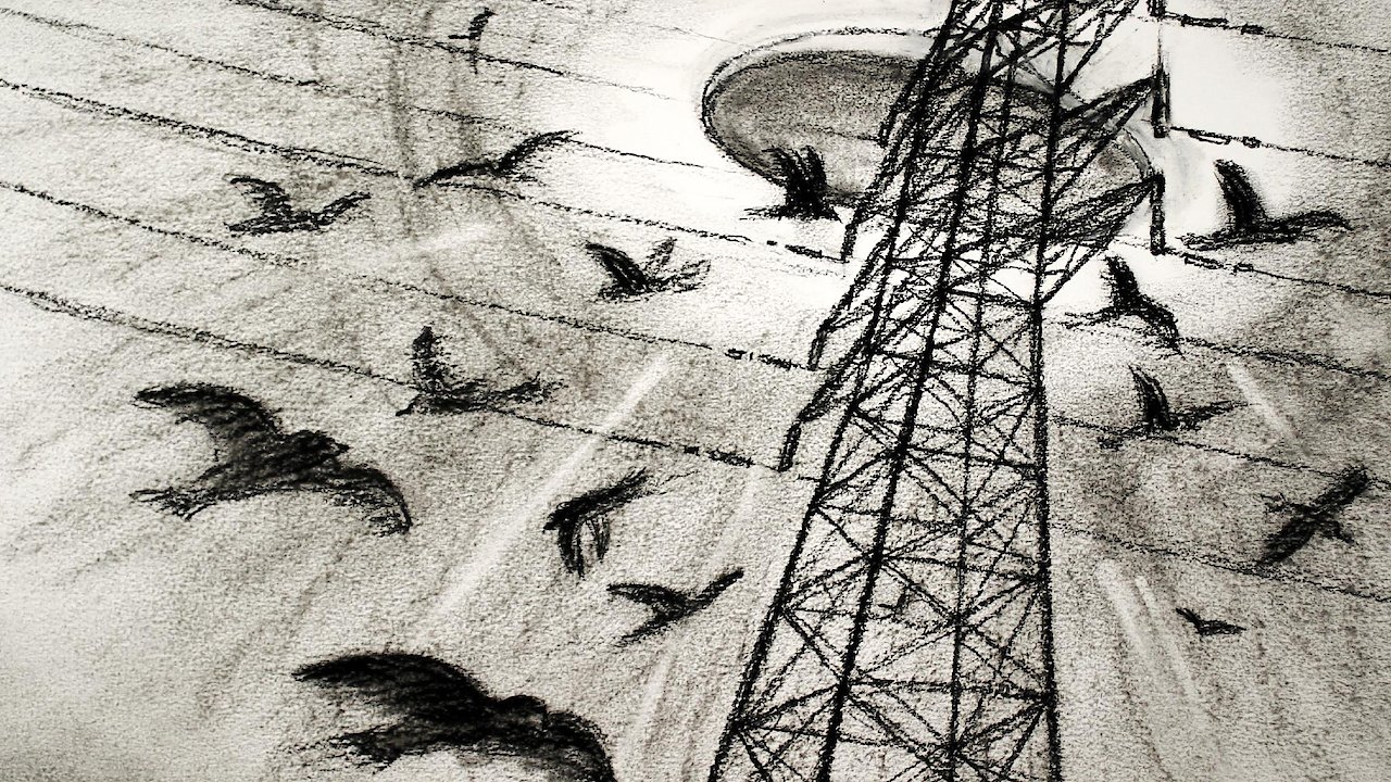 Westall '66: A Suburban UFO Mystery