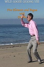 Wild Goose Qigong VIII - Five Elements and Bagua with Dr. Hu