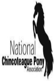 Chincoteague Ponies On The Farm