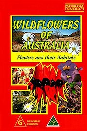 Wildflowers Of Australia