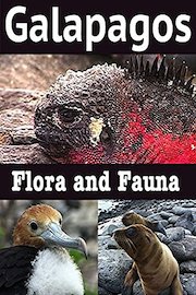 Galapagos: Flora and Fauna