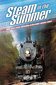 Steam in the Summer