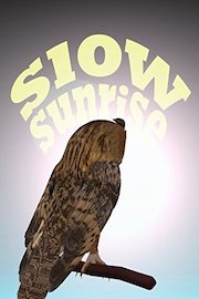 Slow Sunrise